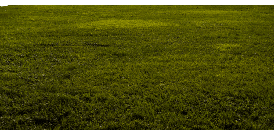 layer_05_bottom_center-1.png